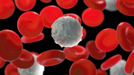 mantara health webinar.png