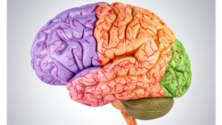 ADHD and autism webinar.png
