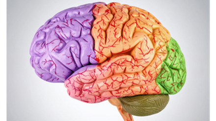 ADHD and autism webinar.png