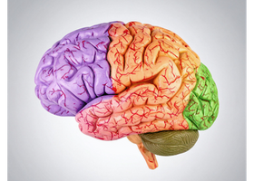 ADHD and autism webinar.png